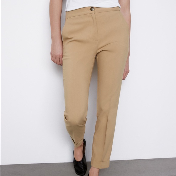 ZARA Jogger Waist Pants - M (Taupe Brown) - Picture 5 of 16